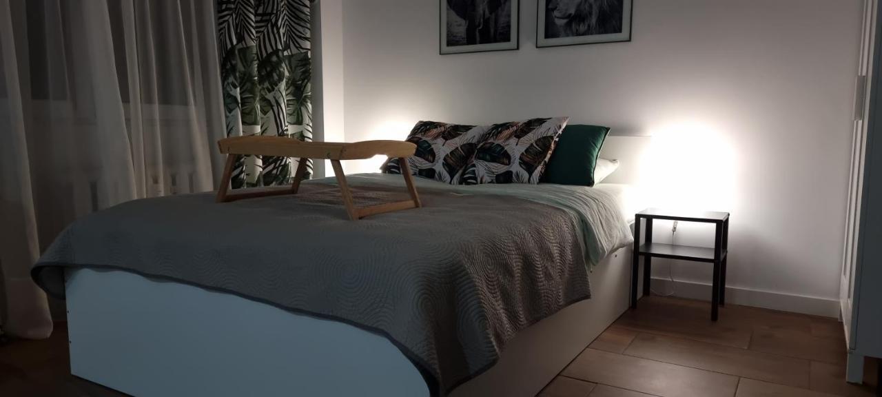 琴斯托霍瓦Apartament 22公寓 外观 照片